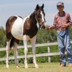 LOTE 012 - RAMBO APOLLO CODY YBJ