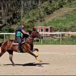 LOTE 005 - JACK FAME M FISHERS