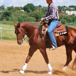LOTE 018 - PEPTO SILVER