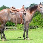 LOTE 003 - ROSIES JAY Z