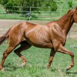 LOTE 011 - MY FIRST FLY