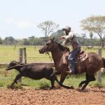 LOTE 003 - MAGAYVER ONLY