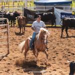 LOTE 006 A - BOB FANCY LENA (Coberturas)
