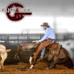 LOTE 013 B - FANTASTIC CAT (Coberturas)
