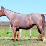 LOTE 002 - INDUTORA PISTOL AJS