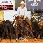 LOTE 044 - WOOD SMART REY (Coberturas)