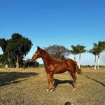 LOTE 014 - HYDRIVE BOY