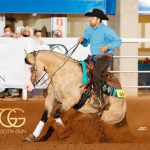 LOTE 041 - TOP GOTTA GUN (Coberturas)