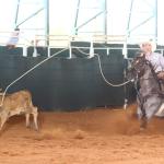 LOTE 100 - METALLIC REY STAR 4M (Coberturas)
