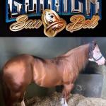 LOTE 045 - GUNNER SAN BELL (Coberturas)