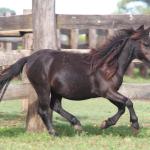 LOTE 005 - BLOCK