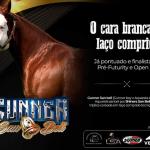 LOTE 045 - GUNNER SAN BELL (Coberturas)