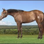 LOTE 013 - KEYS BOON PLAY Z