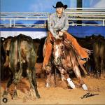 LOTE 049 - HIGH BROW ONCE (Coberturas)