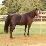 LOTE 001 - VICTORIA LENADOC ESF (2x1)