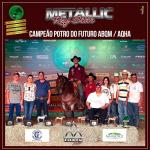 LOTE 100 - METALLIC REY STAR 4M (Coberturas)