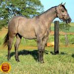 LOTE 021 - SMART PISTOL REY B3