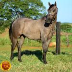 LOTE 021 - SMART PISTOL REY B3