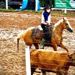 LOTE 016 - EXTRA DOS
