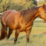LOTE 001 - VICTORIA LENADOC ESF (2x1)