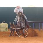 LOTE 100 - METALLIC REY STAR 4M (Coberturas)