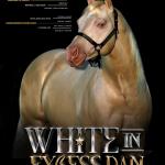 LOTE 007 - WHITE IN EXCESS DAN