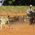 LOTE 005 - TEXANO PLAYBOY PLL