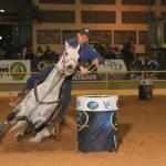 LOTE 013 - DASHIN GOOD