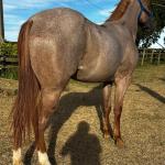 LOTE 011 - QUEEN STREAKIN KEYS