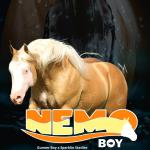 LOTE 005 - NEMO BOY