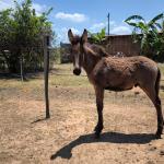 LOTE 003 - NOME A ESCOLHER