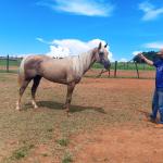 LOTE 003 - JENNY FRENCHMANS JAY