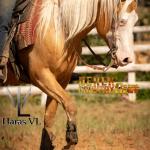LOTE 021 - DEREK COUNTRY GUN