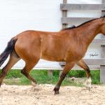 LOTE 012 - AURORA ESM DA PPMP