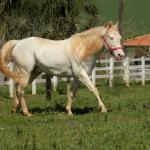 LOTE 023 - STYLISH DUN IT