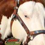LOTE 024 - RUGER SHINING GUN