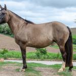 LOTE 001 - LUNA DO PPMP (2x1)