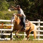 LOTE 021 - DEREK COUNTRY GUN