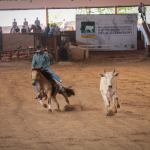 LOTE 011 - SHINERS JAY BELL LA