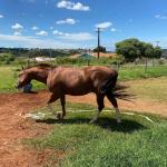 LOTE 005 - SANJOS MEDADAS ME