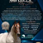 LOTE 011 - METALLIC REY STAR 4M
