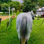 LOTE 013 - DASHIN GOOD