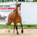 LOTE 010 - AMULETO ESM DA PPMP