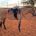 LOTE 004 - DAKOTA BARS LADY