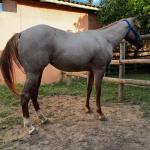 LOTE 011 - QUEEN STREAKIN KEYS