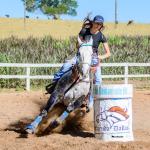 LOTE 013 - DASHIN GOOD