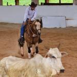 LOTE 013 - SHINING SPARK BELL