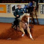 LOTE 001 - EMBRIÃO A EFETIVAR (BIG SHINER x ILP NEGRA FURACÃO)