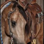 LOTE 011 - SHINERS JAY BELL LA