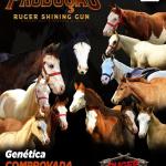 LOTE 024 - RUGER SHINING GUN